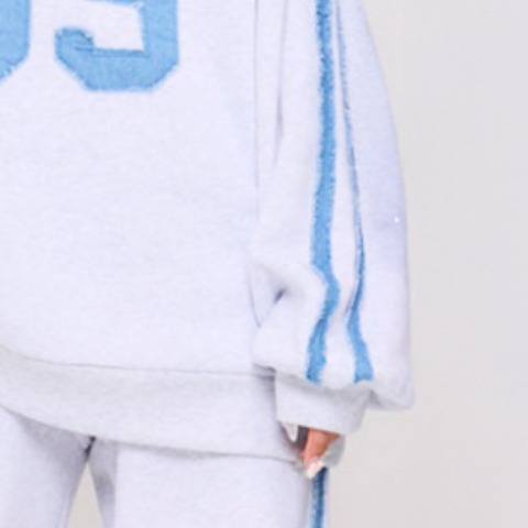 レディース　プルオーバー（VEHEMENT..）