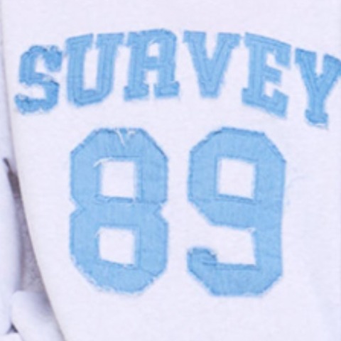 レディース　プルオーバー（VEHEMENT..）