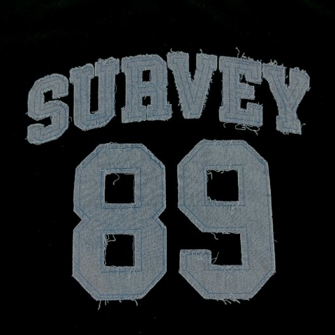 レディース　プルオーバー（VEHEMENT..）