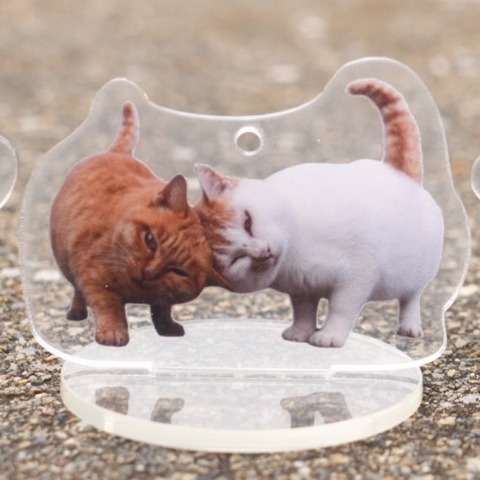 レディース　ロングTシャツ+アクリルスタンド（沖昌之さんコラボ）