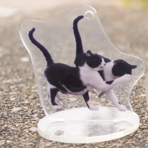 レディース　ロングTシャツ+アクリルスタンド（沖昌之さんコラボ）