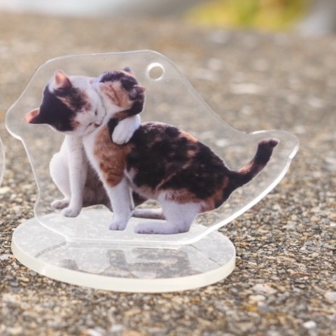 レディース　ロングTシャツ+アクリルスタンド（沖昌之さんコラボ）