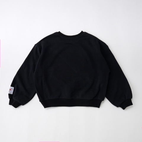 ベビー　トレーナー（80～100cm・LITTC/LINK@/Disney）