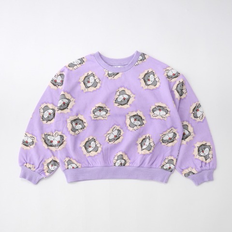 ベビー　トレーナー（80～100cm・LITTC/LINK@/Disney）