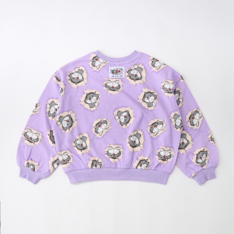 ベビー　トレーナー（80～100cm・LITTC/LINK@/Disney）