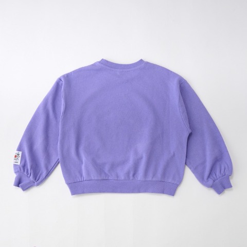 ベビー　トレーナー（80～100cm・LITTC/LINK@/Disney）