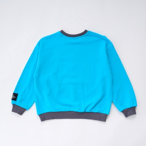 ベビー　トレーナー（90・100cm・LITTC/Disney）