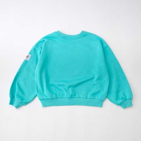 ベビー　トレーナー（80～100cm・LITTC/LINK@/Disney）