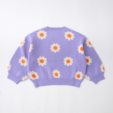 ベビー　ニットプルオーバー（80～100cm・LITTC/LINK@）