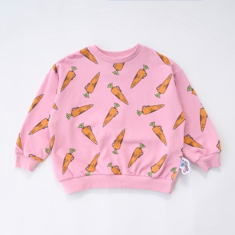 ベビー　トレーナー（90・100cm・LITTC/LINK@/Disney）