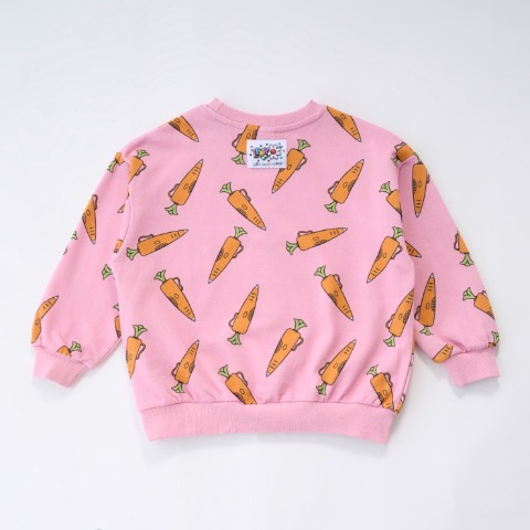 ベビー　トレーナー（90・100cm・LITTC/LINK@/Disney）