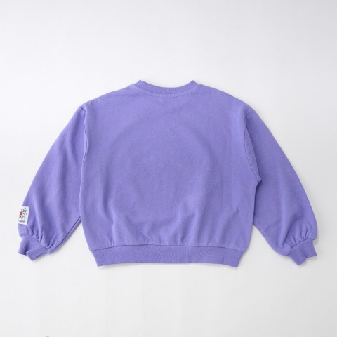 キッズ　トレーナー（140～160cm・LITTC/LINK@/Disney）