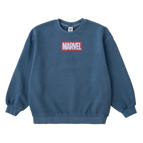 キッズ　トレーナー（140・150cm・LITTC FLAP)