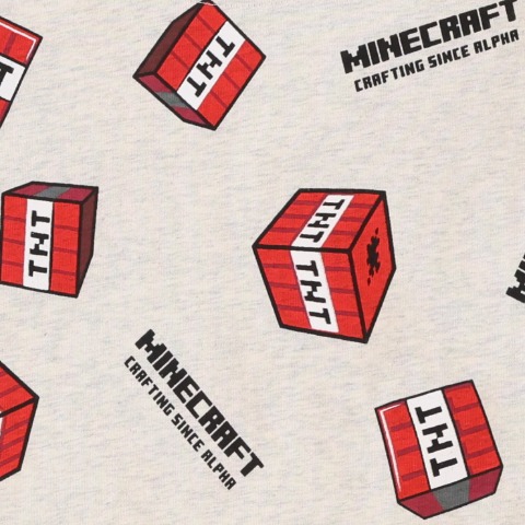 キッズ　トップス（140cm・マインクラフト）