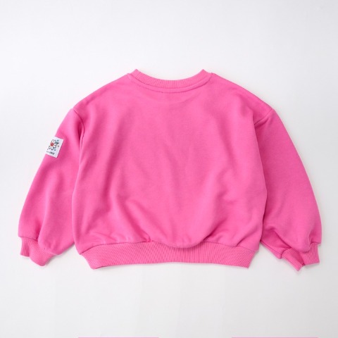 キッズ　トレーナー（140～160cm・LITTC/LINK@/Disney）