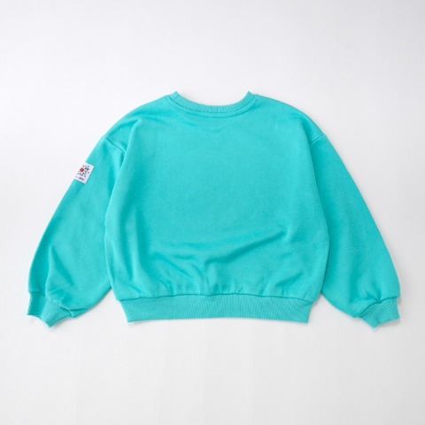 キッズ　トレーナー（140～160cm・LITTC/LINK@/Disney）