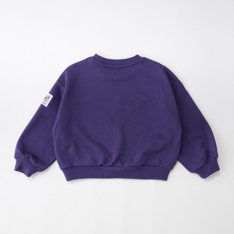 キッズ　トレーナー（110～130cm・LITTC/LINK@/Disney）