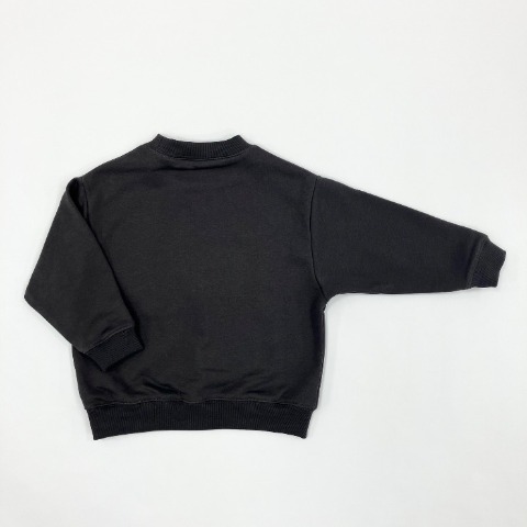 キッズ　裏毛ロゴスウェットT（110～130cm・BELUGA・たいが)