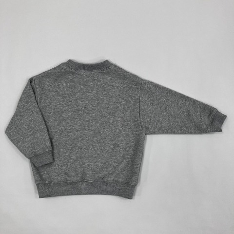 キッズ　裏毛ロゴスウェットT（110～130cm・BELUGA・たいが)