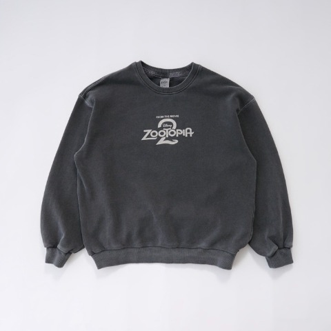 キッズ　トレーナー（110～130cm・LITTC/Disney）