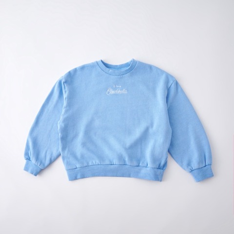 キッズ　トレーナー（110cm~130cm・LITTC FLAP!/Disney）