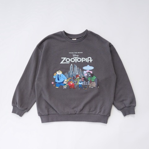 キッズ　トレーナー（110・120cm・LITTC/LINK@/Disney）