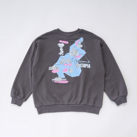 キッズ　トレーナー（110・120cm・LITTC/LINK@/Disney）