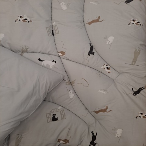 ふとんセット（ダブルロングサイズ・4つのこだわり）※送料当社負担