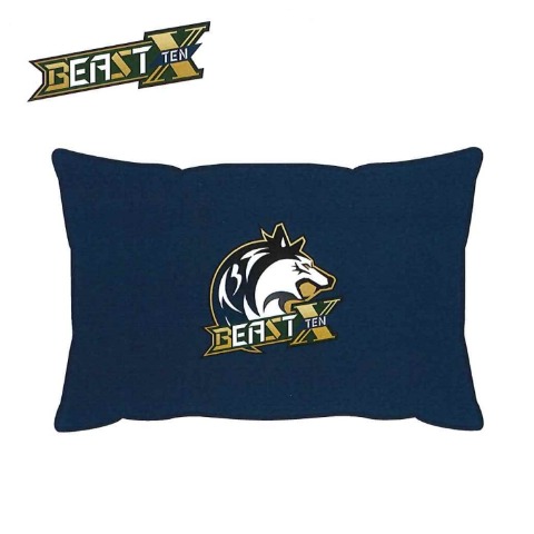 枕（43×63cm・BEAST X）