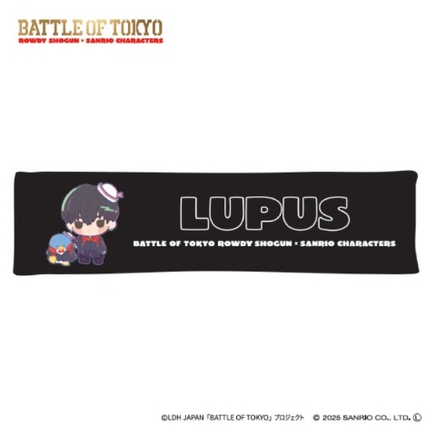 抱き枕（20×80cm）