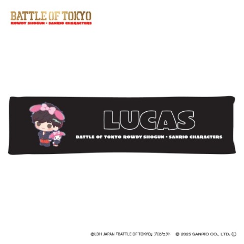 抱き枕（20×80cm）