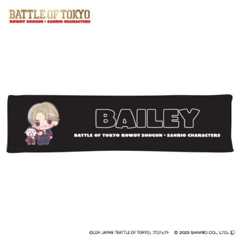 抱き枕（20×80cm）