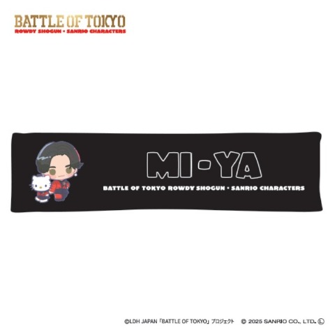 抱き枕（20×80cm）