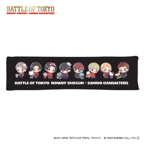 抱き枕（20×80cm）