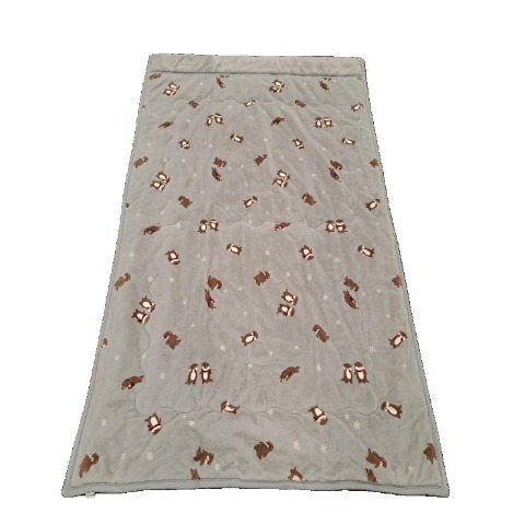 わた入り毛布（シングルロングサイズ・FIBER HEAT）カワウソ柄