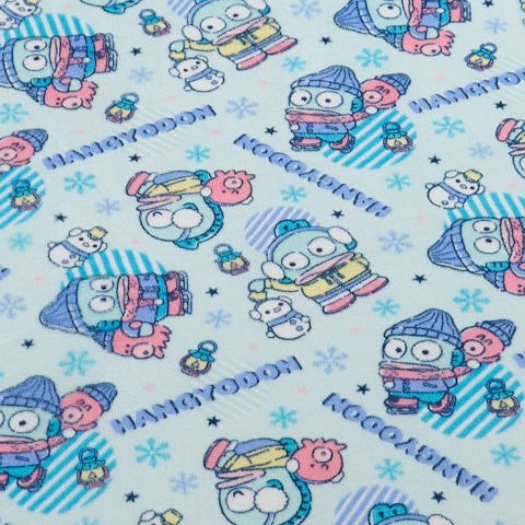 綿入り毛布（シングルサイズ・ハンギョドン）