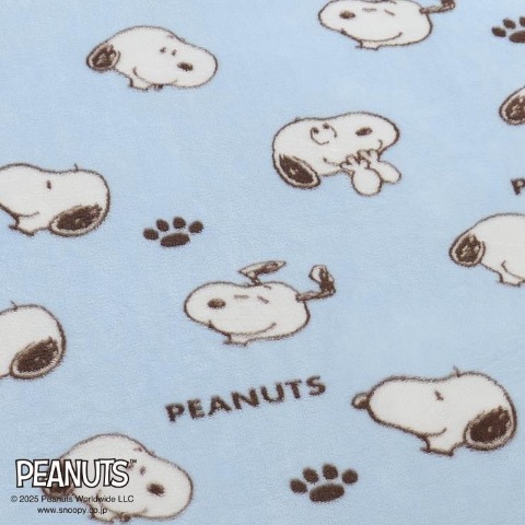 わた入り合わせ毛布（シングルサイズ・PEANUTS）