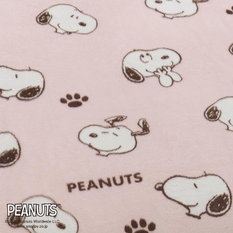 わた入り合わせ毛布（シングルサイズ・PEANUTS）