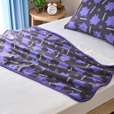 ブランケット（ひざ掛けサイズ・ポケットモンスター）