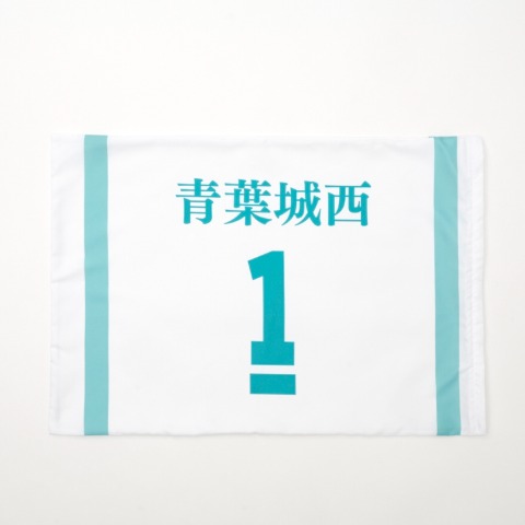 枕カバー（43×63cm・アニメ「ハイキュー!!」）
