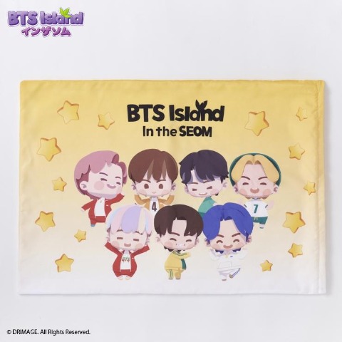 枕カバー（43×63cm・BTS Island:インザソム）