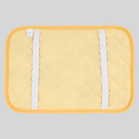 枕パッド（43×63cm・チップ＆デール）