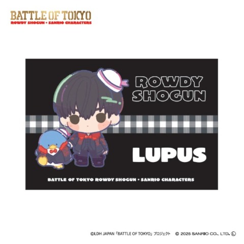 枕カバー（43×63cm）