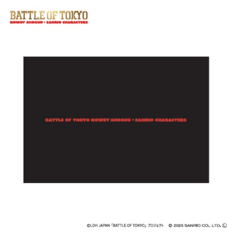 枕カバー（43×63cm）