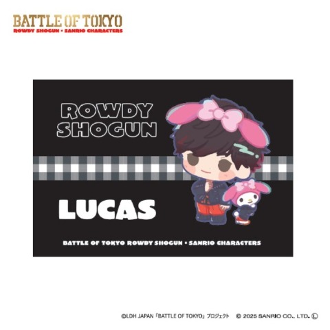 枕カバー（43×63cm）