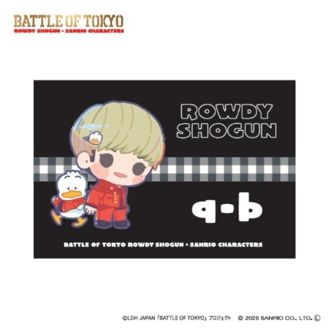 枕カバー（43×63cm）