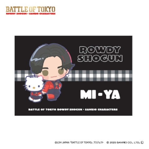 枕カバー（43×63cm）