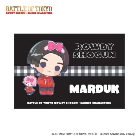 枕カバー（43×63cm）