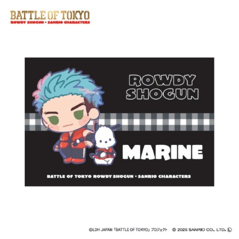 枕カバー（43×63cm）