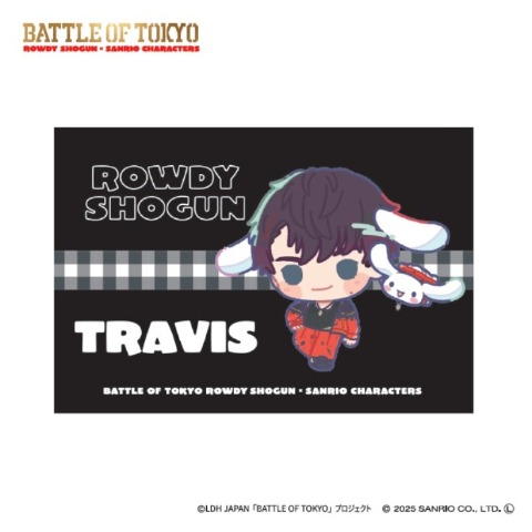 枕カバー（43×63cm）